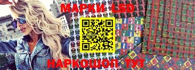 гидропоника Брянск