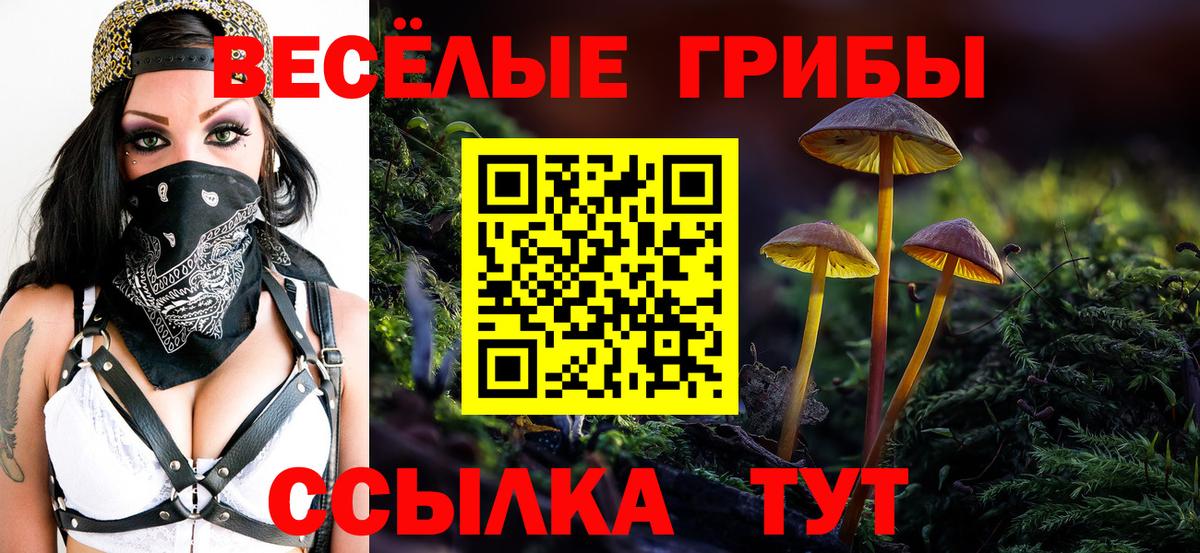 Бахчисарай  Псилоцибиновые грибы MAGIC MUSHROOMS  Вход с VPN 