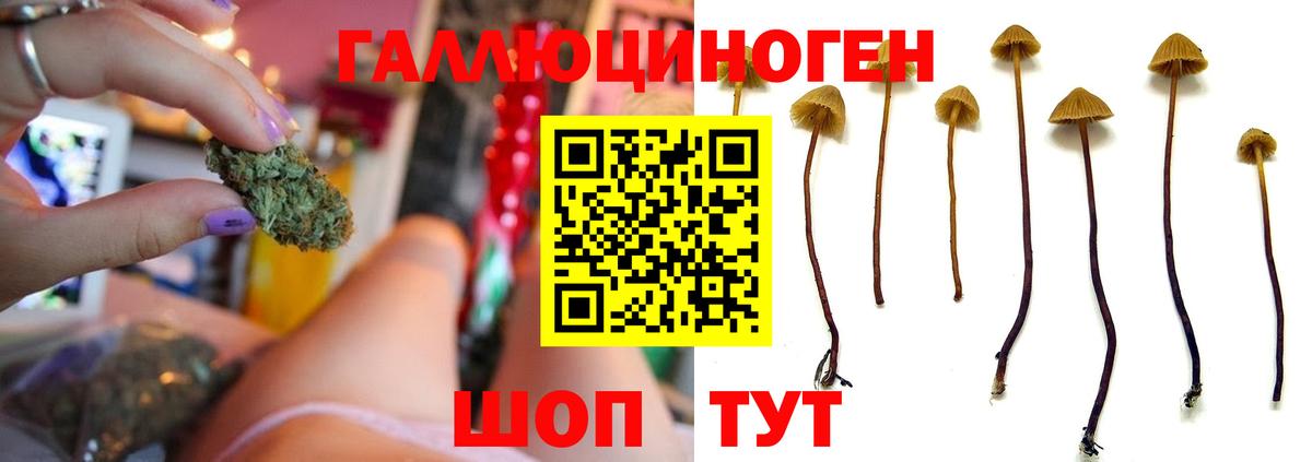 Галлюциногенные грибы Magic Shrooms Бахчисарай
